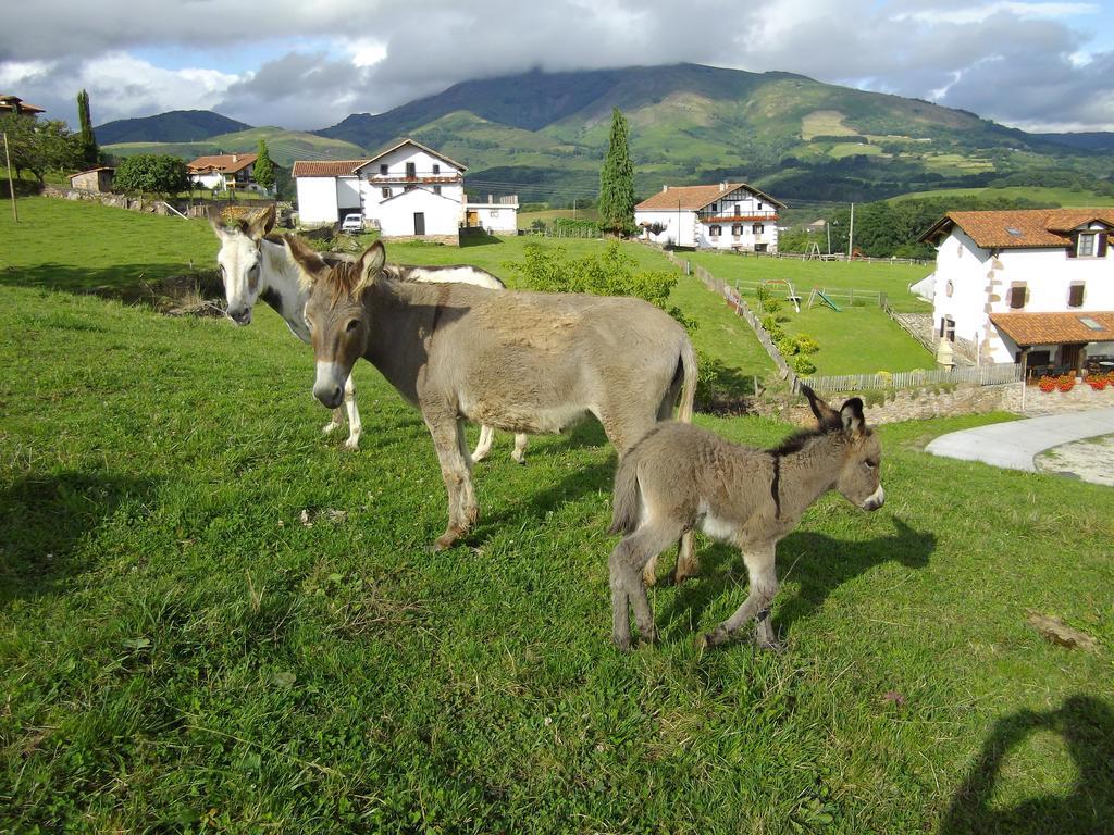 Casa Rural Gananea Zuaztoy de Azpilcueta Habitación foto